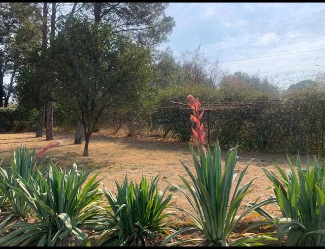 FARM FOR SALE IN GLENFERNESS